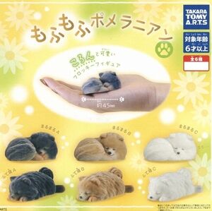 Fluffy Sleeping White Pomeranian / Samoyed Gachapon